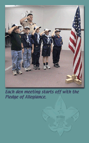 Just happy to be a Cub Scout!